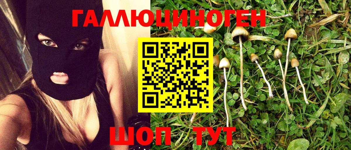 Псилоцибиновые грибы Magic Shrooms  Вход с VPN  Гусиноозёрск 